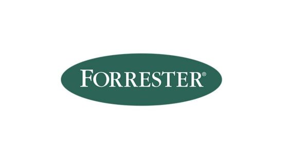 Beyond Now Named a Strong Performer in The Forrester Wave™ 2024 Report!