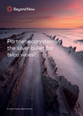 Partner ecosystems: the silver bullet for telco woes?